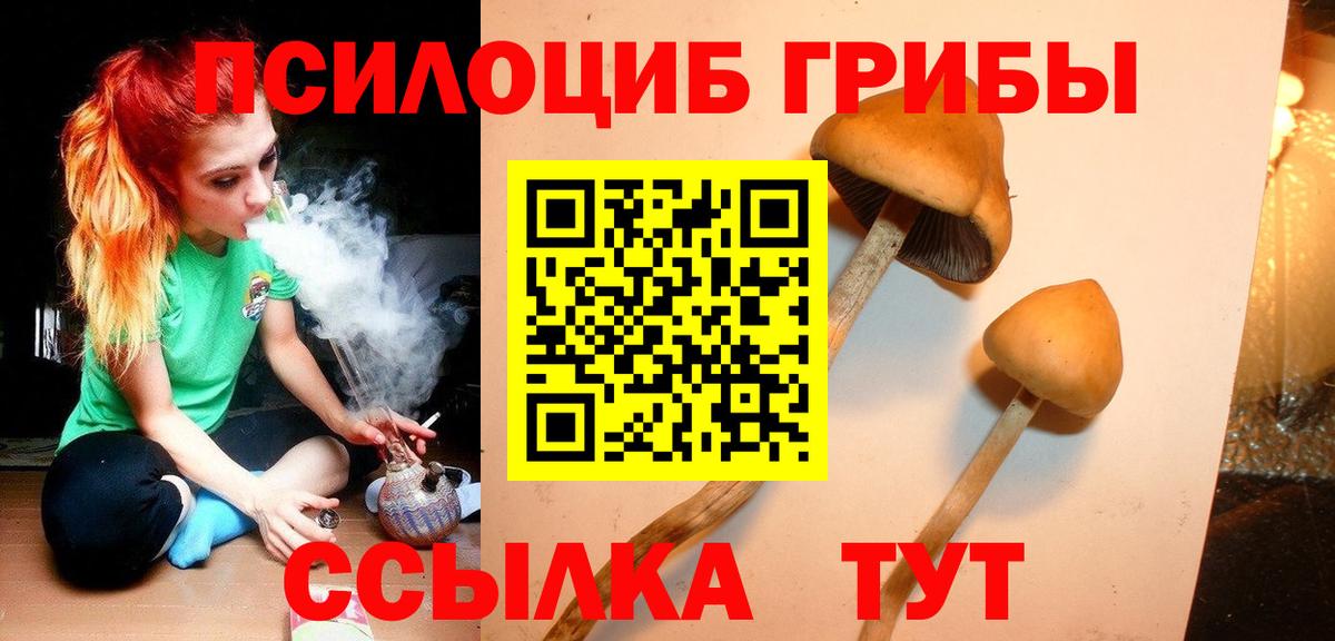 Галлюциногенные грибы GOLDEN TEACHER  Вход с VPN  Вязники 
