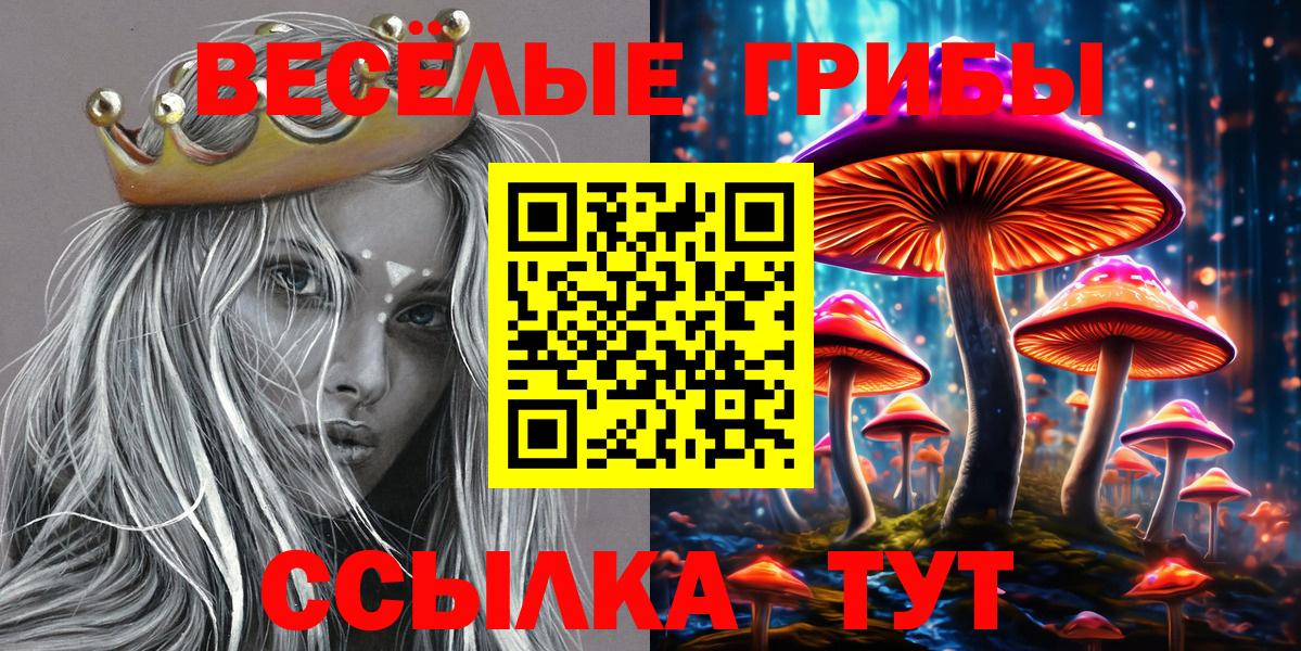 Галлюциногенные грибы мухоморы Вязники